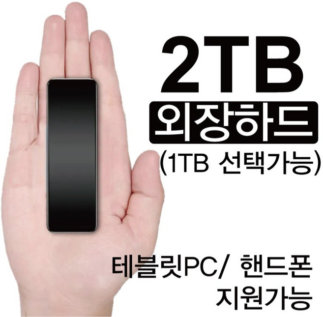 Avera semi SSD외장하드 데이터복구 미니 휴대용 외장하드케이스 1TB 2TB 블랙 실버, 8핀