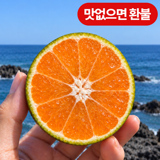 [고당도] 제주도 노지감귤 농장직송 당도선별, 1박스, 5kg (로얄과)