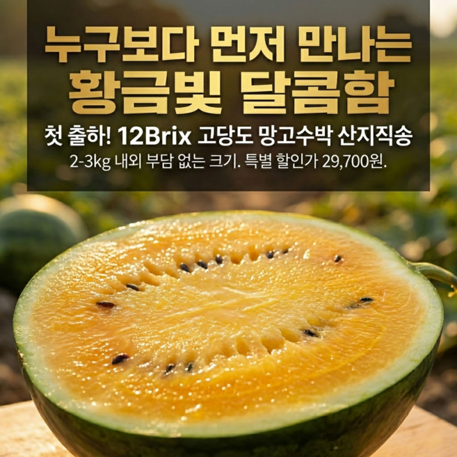 [해피픽] 속노란 블랙망고수박 첫출하 기념 한정판매, 1개, 2-3kg