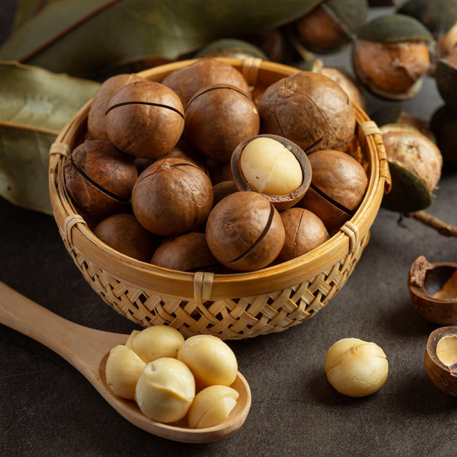 껍질 마카다미아 통 견과류, 1kg, 1개