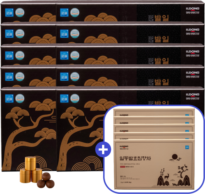 [본사 직영몰] 일동침향 침향단 프리미엄 침향 녹용발효관절 침향환 사은품 증정, 320개, 3.75g