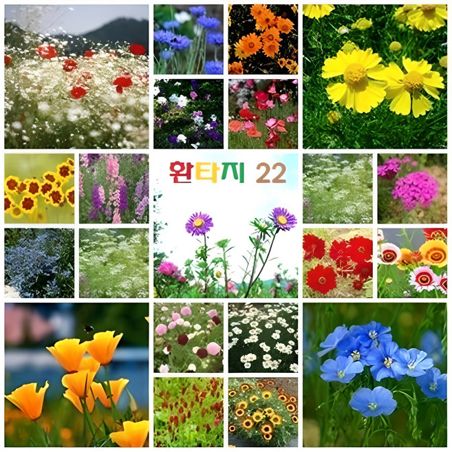 맨땅을 꽃밭으로 만드는 혼합꽃씨 환타지22 세트 (3평용), 1개