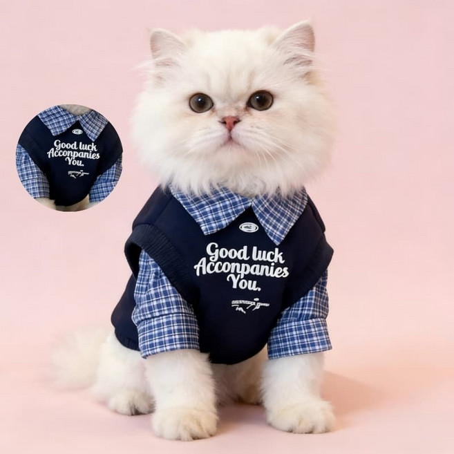굿럭 메시지 베스트 셔츠 세트 고양이 강아지 학교룩 펫 의상, 1개, Blue