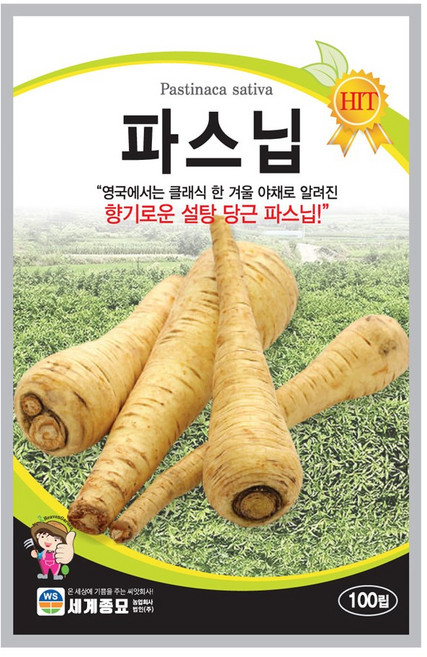 모칸도 세계종묘 뿌리채소씨앗 파스닙 100립, 1개