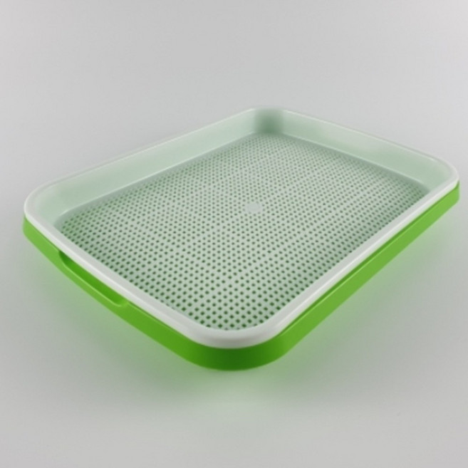 새싹 보리 씨앗 식물 재배기 트레이 식물키우기