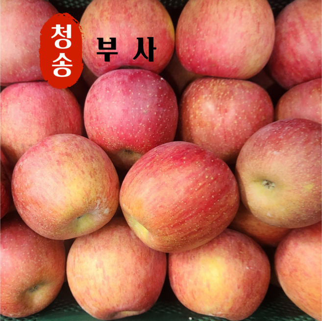 사과 당도선별 청송사과 고산지 부사사과, 1박스, 5kg (가정용)