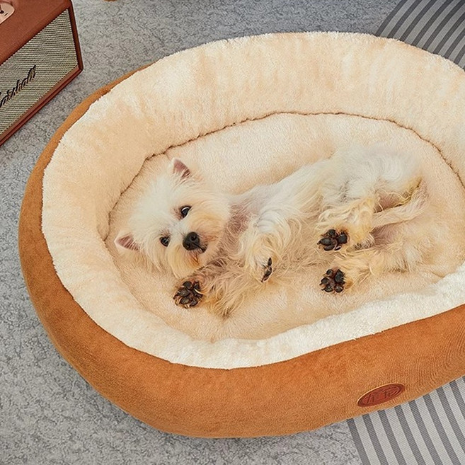 피터몰 강아지 반려동물 방석 쿠션 메모리폼 마약 꿀참 커버 분리, 1개, 주황색