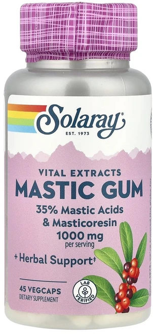 솔라레이 매스틱 검 Mastic Gum 500mg 45베지캡슐, 45정, 1개 - 쿠팡