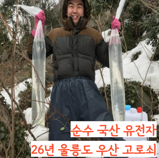 [품질보장] 2026년 냉동 울릉도 우산 고로쇠물 고로쇠수액, 9개, 1.5L