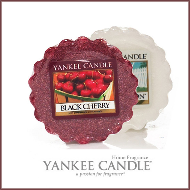 양키캔들 하우스 워머 타트 캔들, 1개, 매도우샤워, 22g