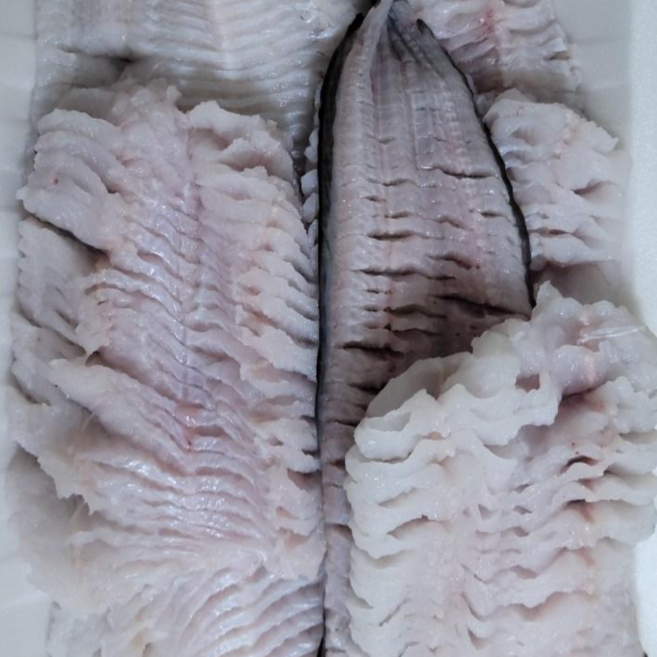 통영 자연산 벌집 장어구이 2인분, 1개, 500g