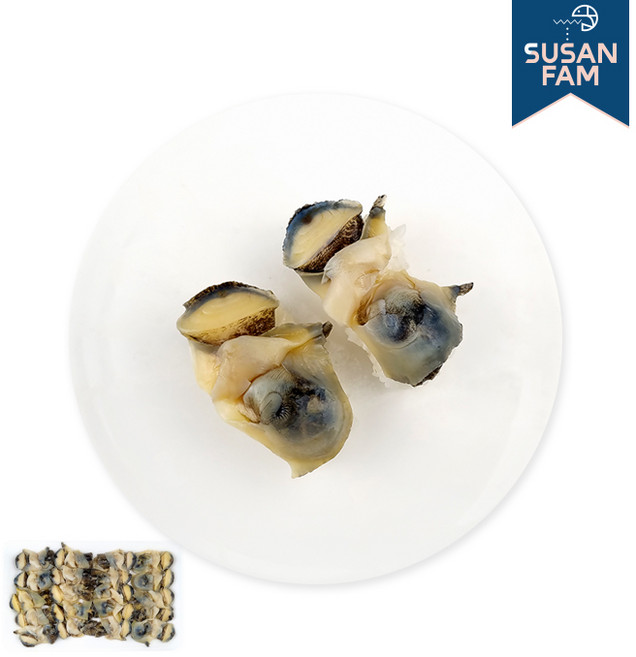 초밥용 참소라 피뿔고동 소라초밥 스시 초밥 재료, 참소라초밥9g, 1개