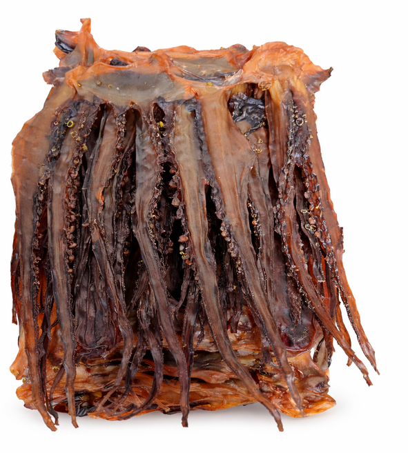 말랑망족 대왕문어다리 말린문어 대왕오징어다리 가문어 1kg, 1개