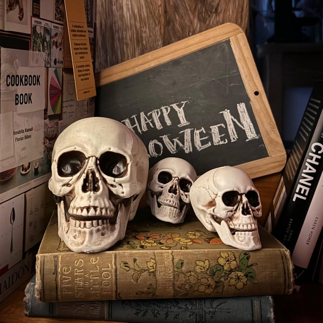 할로윈 해골모형 두상 4size 캠핑장식 공포소품, 1세트
