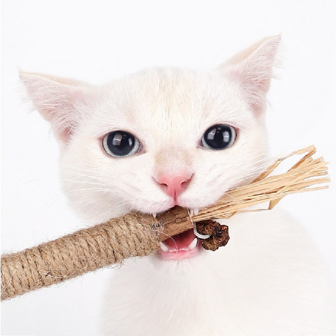 고냥냥 마따따비 캣닢 고양이 장난감, 4개, 단일