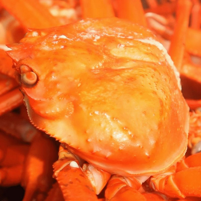 동해 포항 구룡포 자숙 연지 홍게, 1개, 3kg