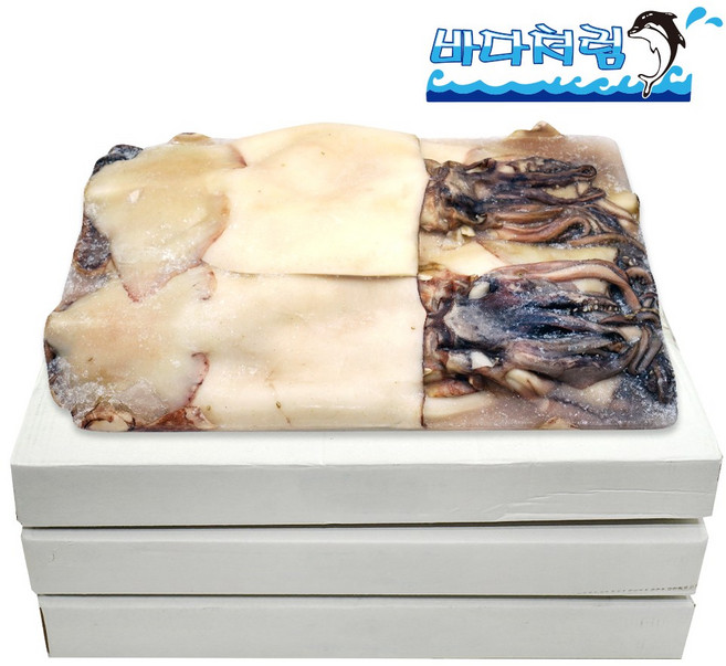 활복오징어 중국산 8-12미 5kg 3박스 총15kg 대용량 업소용