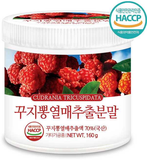 푸른들판 국산 꾸지뽕 열매 분말, 1개, 160g