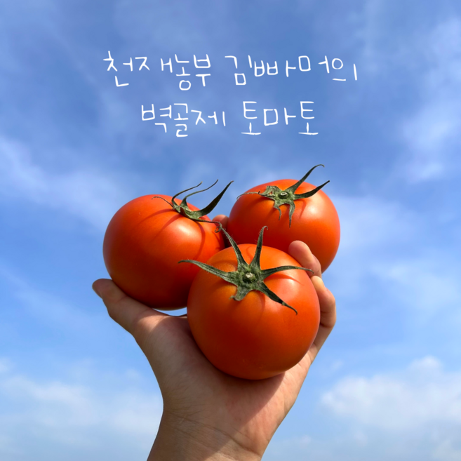 김제 벽골제 스마트팜 천재농부 김빠머 완숙 토마토 5kg [원산지:국산(전라북도 김제시)], 1개, 대 사이즈(요리 및 주스용) - 1번