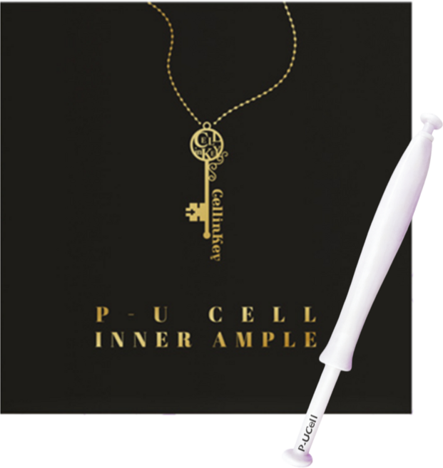 피유셀 와이존 이너앰플 이너케어젤 Y-Zone보습 탄력 질 냄새제거 초 저분자 콜라겐, 10개, 2ml