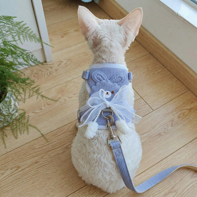 콩냥팥냥 반려동물 곰돌이 메쉬 하네스 리드줄 세트, 1세트, 블루