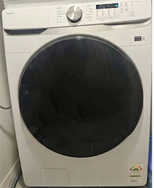 삼성전자 AI 세탁기 25kg 방문설치, WF25DG8250BW, 화이트