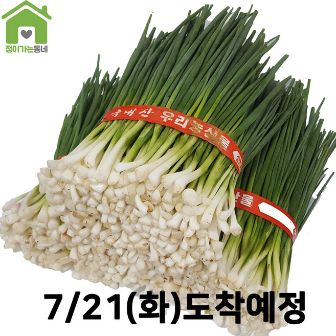 국내산 깐쪽파 쪽파 파 1단 (약1Kg), 1kg, 1개
