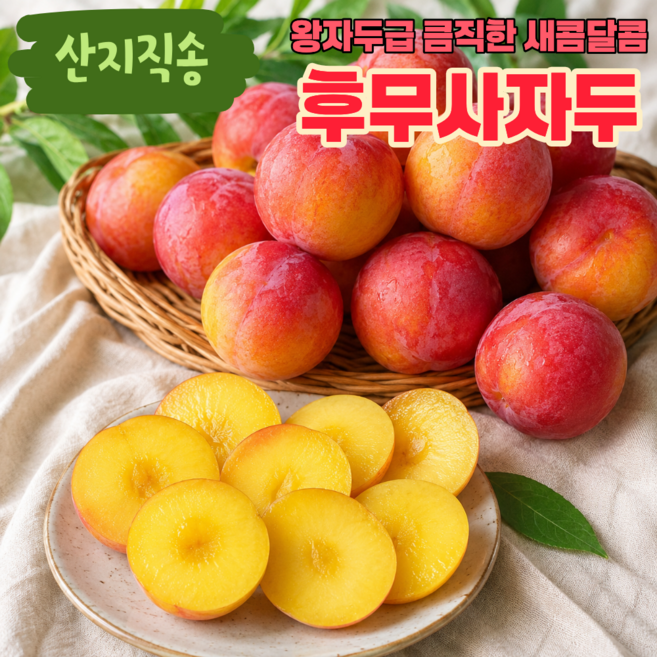 [여름제철과일] 왕자두급 새콤달콤 황금밸런스 후무사자두, 1박스, 특2kg(제철한담)