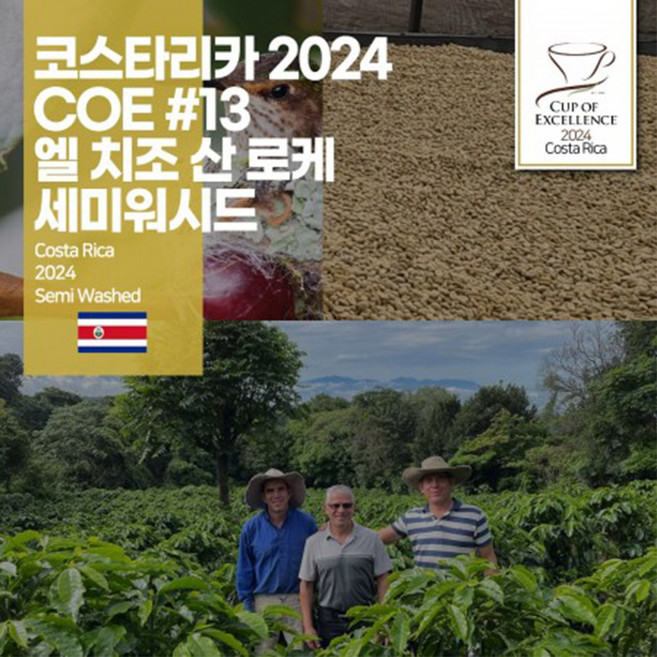 [코스타리카] 2024 COE#13 엘 치조 산 로케 세미워시드(COE 13위 낙찰 생두) 세웅지씨, 1개, 1kg