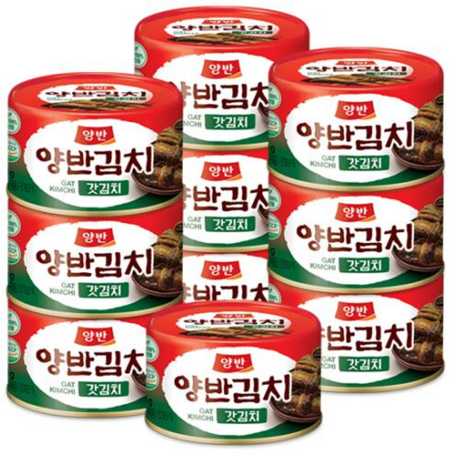 동원 양반 캔 갓김치, 10개, 160g