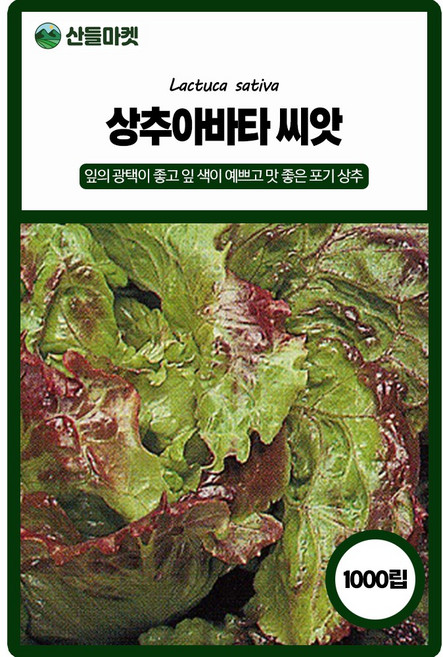 아바타 상추 씨앗 1000립 아바타 포기상추씨 쌈채소 종자, 4개