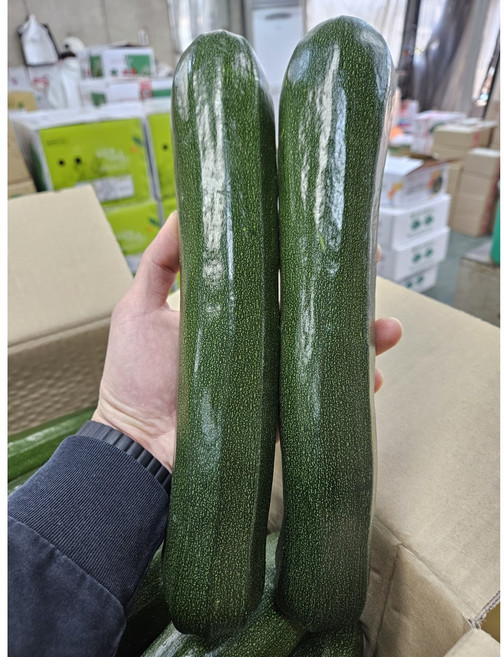 [당일경매] 국내산 주키니 쥬키니호박, 1개, 5kg