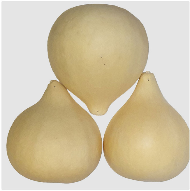 정희공예 박바가지 함바가지 조롱박 표주박 액운쫓기 함진아비 액운박, 반쪽박(소)