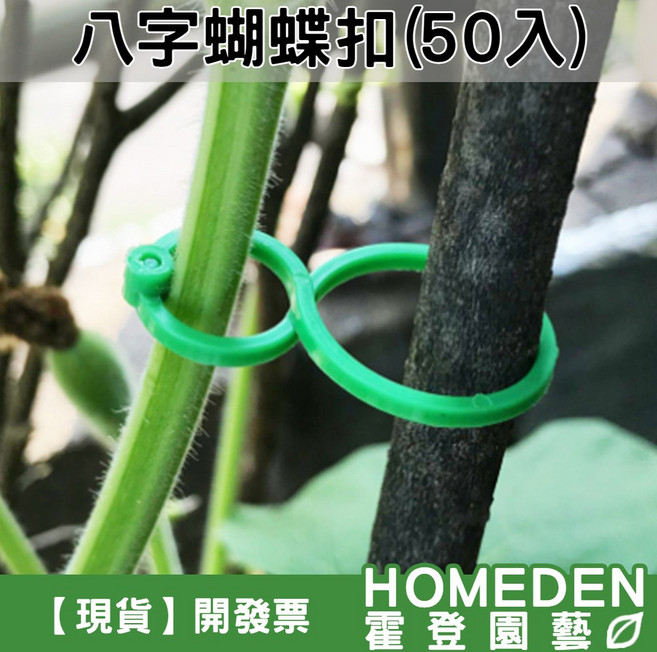 八字蝴蝶扣 (50入) - 植物固定夾, 1個, 八字蝴蝶扣:10入