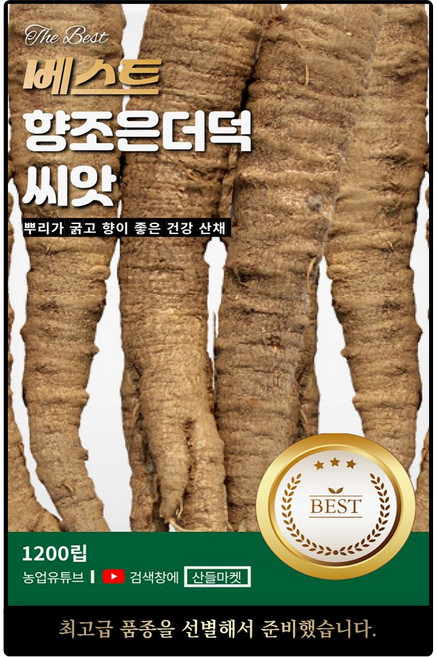 베스트 향조은 더덕 씨앗 1200립 뿌리 굵고 건강채소 더덕씨 종자, 1개