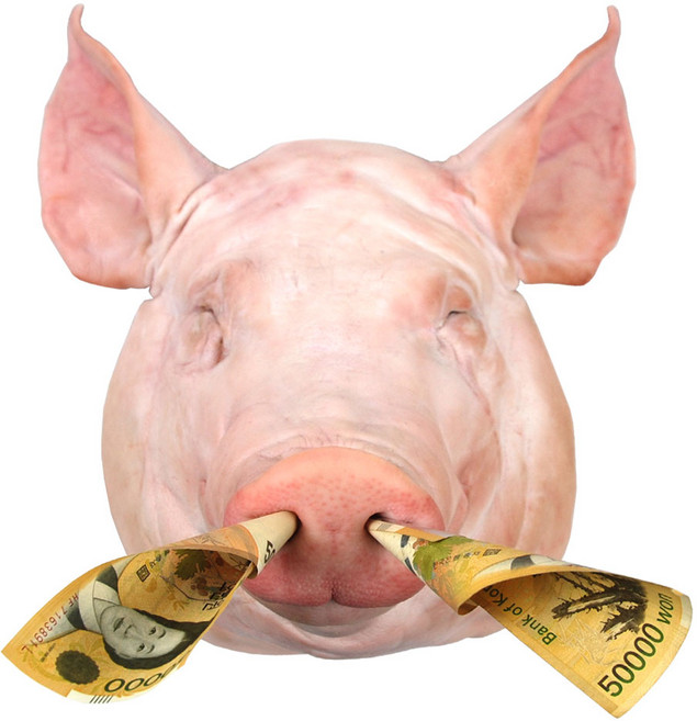 고사용 돼지머리 통머리 한마리 국내산 머리고기, 1개, 6kg