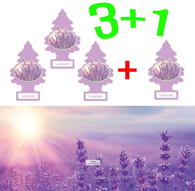 리틀트리 방향제 3+1 총(4 개) 차량용 방향제 총 (4 개) 종이방향제 디퓨져 미국산 옷장 화장실 방향제, 라벤더, 4개