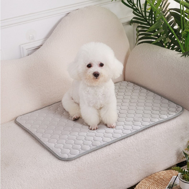 소요상점 반려동물 쿨매트, 그레이, 1개