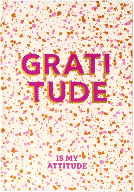 플라잉타이거 코펜하겐 감사 일기장 A5 하드커버 매일 하루 칭찬 노트 유로커머스, 1개, 믹스