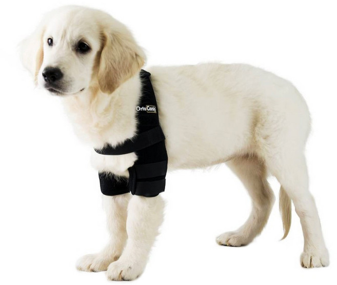 [미라이프] 오르토카니스 강아지 양쪽 팔꿈치 어깨 관절보호대 동물의료기 ORTOCANIS ORT005, S, 1개