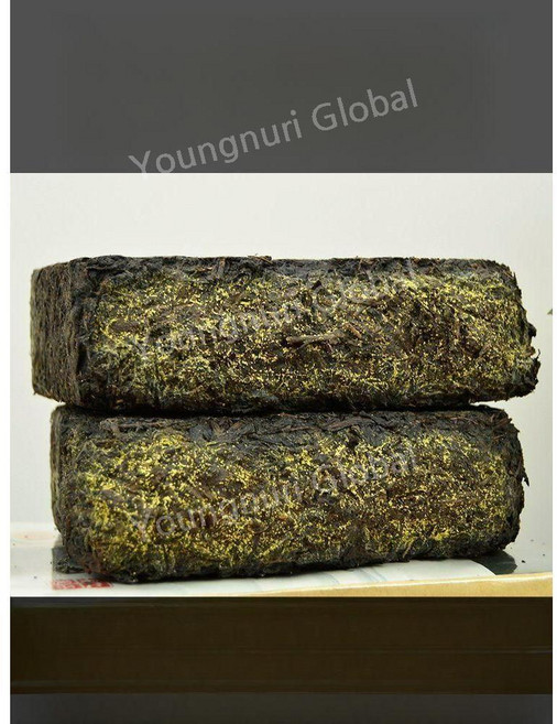 안화흑차 복전차 특급 천첨 잎 금화 진년 묵은 차 1kg