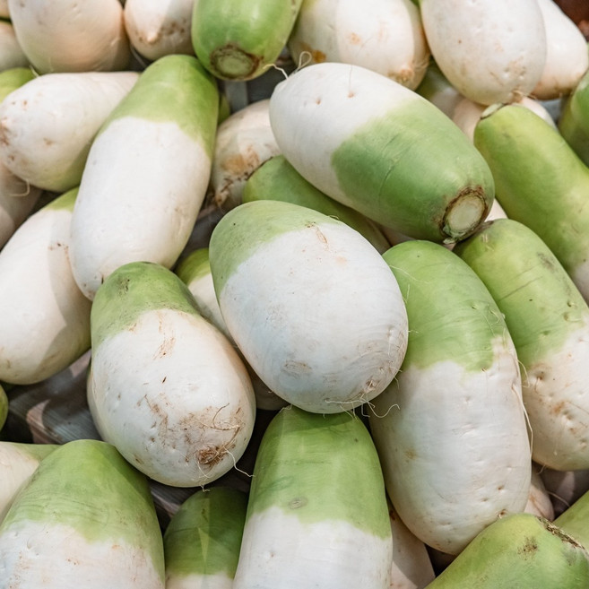 당일수확 제주도 세척 월동무, 1박스, 3kg (2-3수)