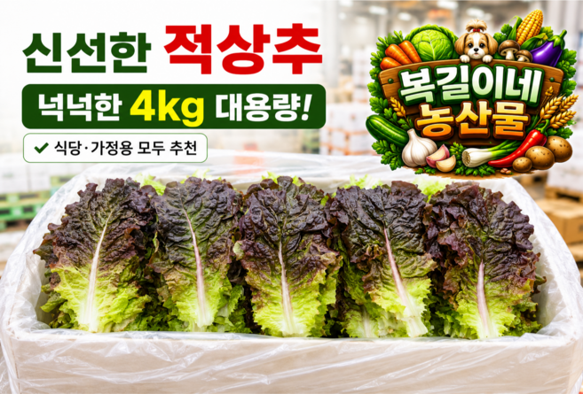 [복길이네농산물] 국내산 상추 4kg 적상추 1박스