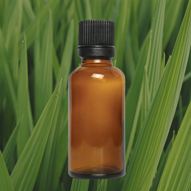 W 시트로넬라 에센셜 오일 100ml, 단일