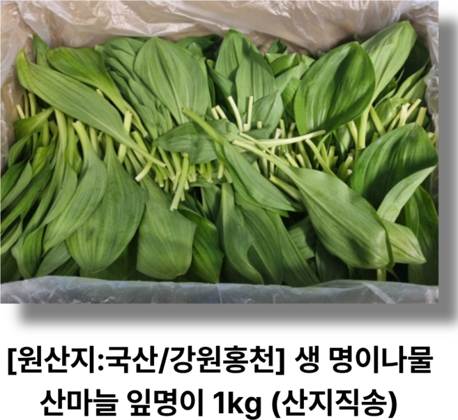 [원산지:국산/강원홍천] 생 명이나물 산마늘 잎명이 1kg (산지직송), 1개