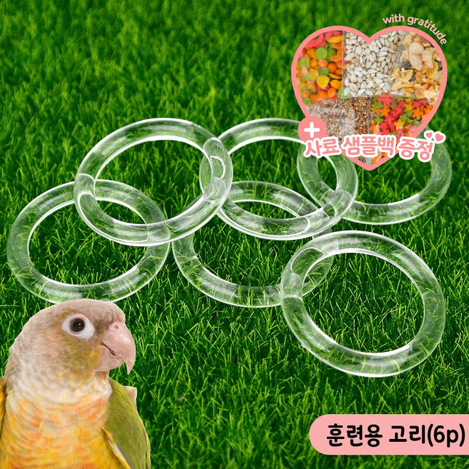 앵무새 훈련용 고리(6p) 투명링 장난감 지능발달 두뇌자극