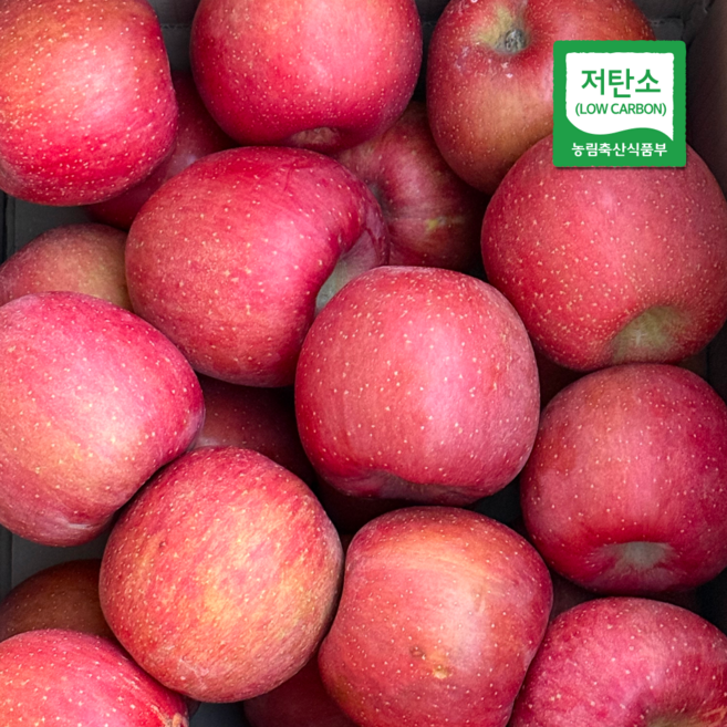 [율아네] 문경 부사사과 고당도 산지직송 프리미엄 설 선물세트, 1개, 가정용 소과 5kg