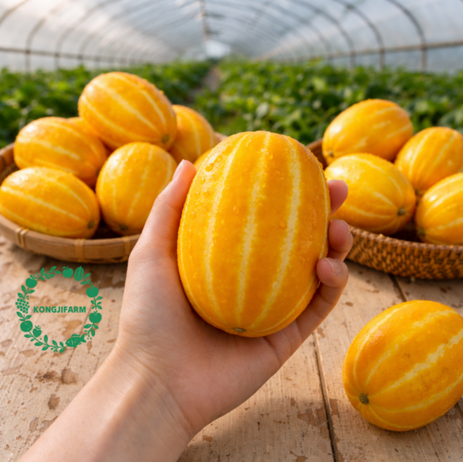 성주 꿀 참외 고당도 혼합과 가정용 소과 대과 중과 당도선별, 1개, 3kg