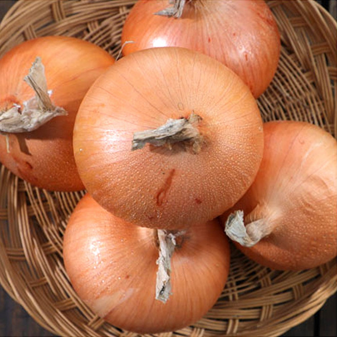 국내산 무안양파 햇양파 대용량 요리용 업소용 10kg, 1박스, 5kg 특