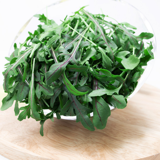 레드 와일드 루꼴라 500g, 1개